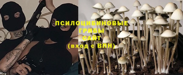 мет Арсеньев